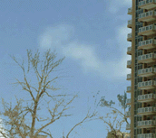Calgary Condo