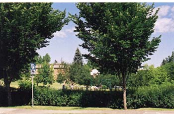 basketballinbv
